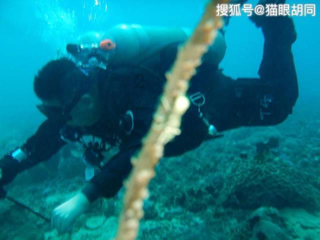 灵魂能力6